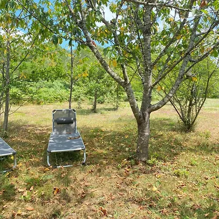 Maison Bois Avec Piscine Privee Et Wifi Au Coeur Du Perigord - Fr-1-616-445 *